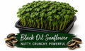 Black Oil Sunflower Living Tray - 350+ Grams