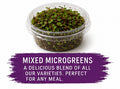Mixed Microgreen Punnet - 50 Grams